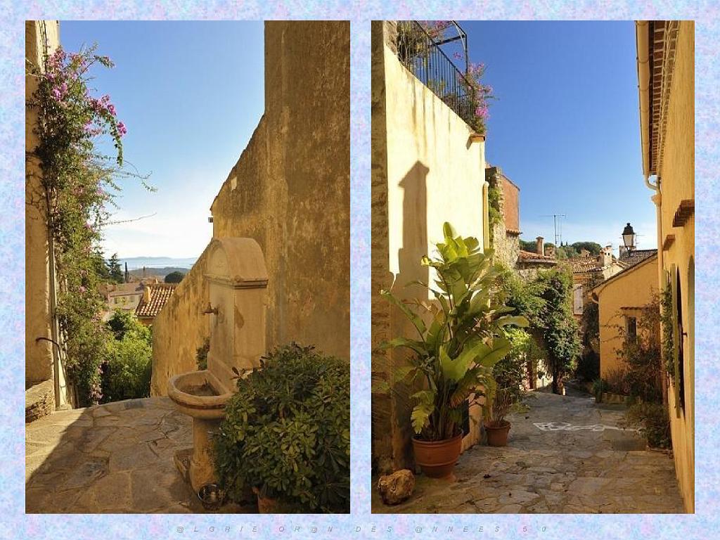 183 D24 BORMES LES MIMOSAS 2_000050.jpg
